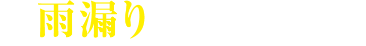 雨漏りになるその前に！